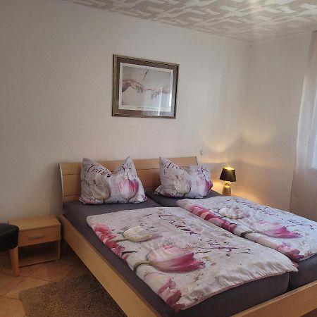 Ferienwohnung Jasmin In Schoenau Bei Heidelberg Fewo 2 Schonau  Buitenkant foto