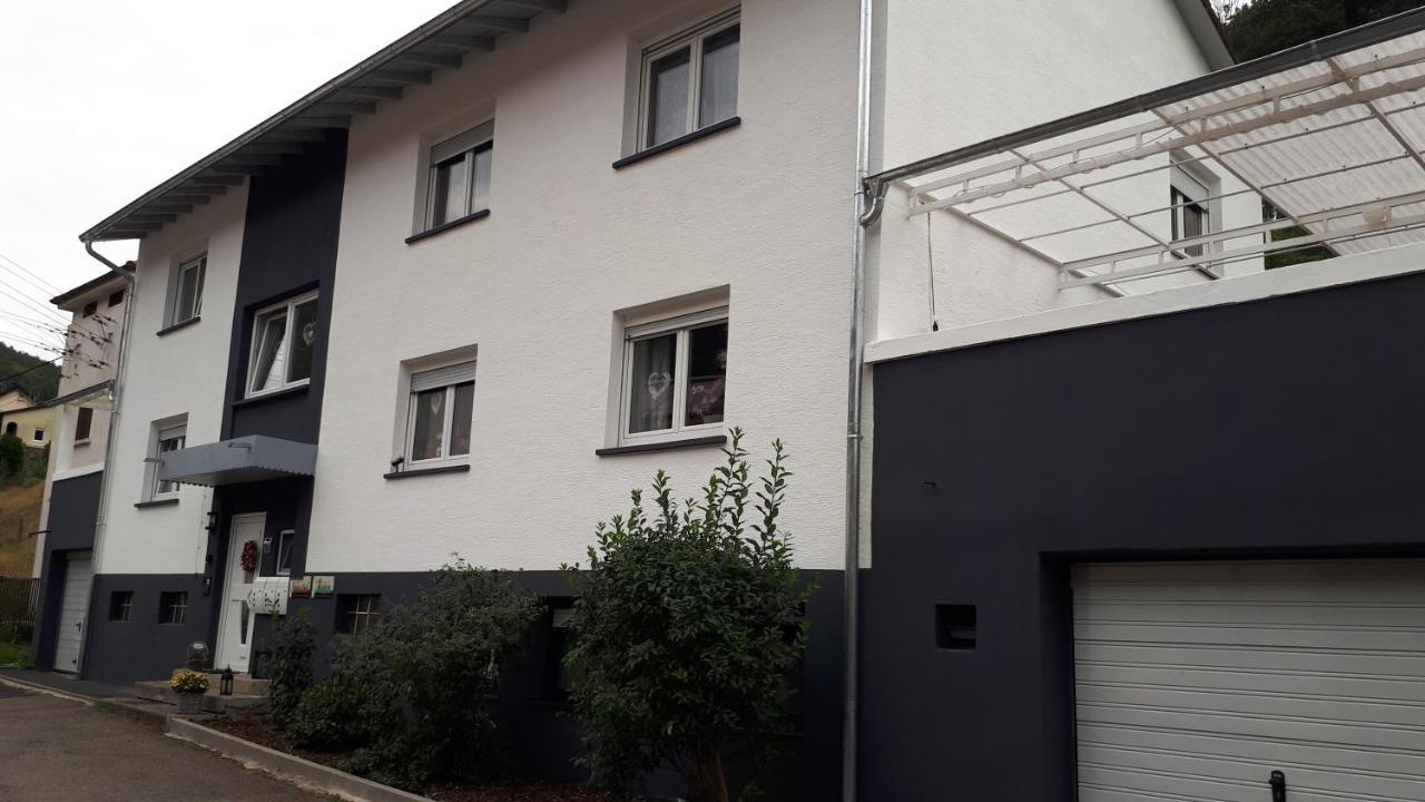 Ferienwohnung Jasmin In Schoenau Bei Heidelberg Fewo 2 Schonau  Buitenkant foto